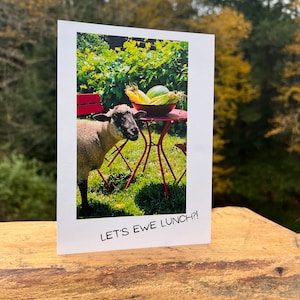 Schapenkaarten - EWE-kaarten - "Laten we EWE Lunch?!" -Groet/notitiekaart - Blanco binnenkant voor persoonlijke boodschap - Foto's van schapen - Vermont