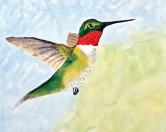 Ruby Throated Hummingbird Watercolor Painting Giclee Print
