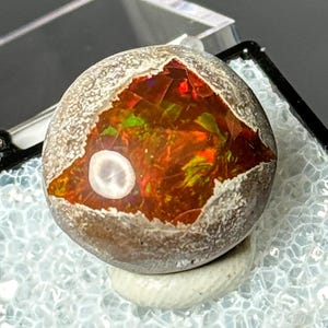 May include: A spherical, textured stone with a colourful interior of red, orange, and green, displayed in a clear, hinged case. The stone rests on a small, white pedestal, highlighting its unique colours and patterns.