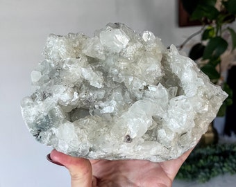 3lb Druzy Diamond Apophyllite Cluster / Diamond Apophyllite on Matrix from Bombay, India