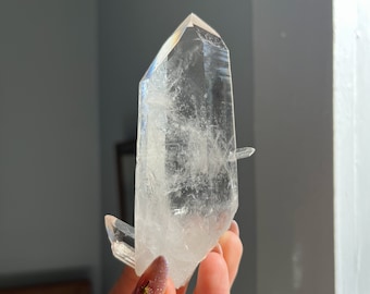 AAA Grade Brazilian Lemurian Quartz with Penetration / Zeca De Souza & Tomas Gonzaga Quartz / Lemurian Seed