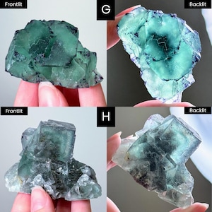 以下が含まれることがあります： 蛍石の結晶の4つの画像。結晶はさまざまな緑色と青色で、一部は半透明に見えます。結晶はざらざらとした自然な質感で、人の手で持たれています。画像には「Frontlit」と「Backlit」のラベルが付いています。