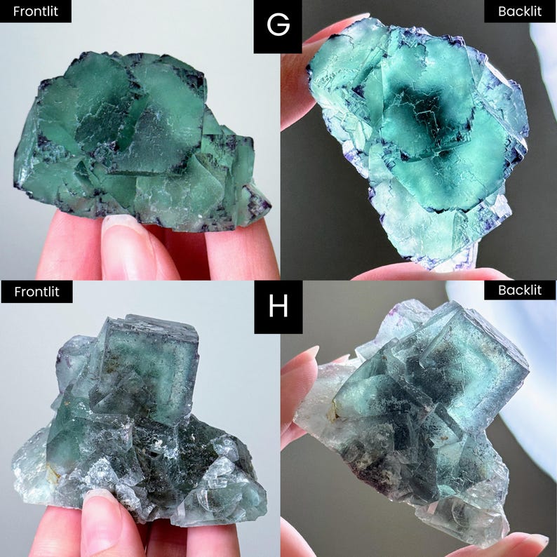 以下が含まれることがあります： 蛍石の結晶の4つの画像。結晶はさまざまな緑色と青色で、一部は半透明に見えます。結晶はざらざらとした自然な質感で、人の手で持たれています。画像には「Frontlit」と「Backlit」のラベルが付いています。