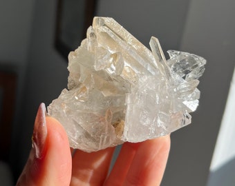 Sparkly AAA Grade Golden Brazilian Lemurian Quartz Cluster with Elongated Crystals / Zeca De Souza & Tomas Gonzaga Quartz