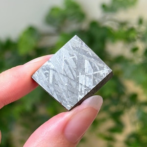 May include: A square-cut, metallic gray meteorite held between fingers. The surface displays a unique Widmanstätten pattern of intersecting lines. The edges are dark, and the background is blurred green foliage.