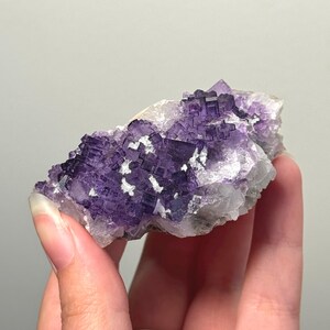 Purple Fluorite with Aragonite from Tule Mine, Melchor Múzquiz, Coahulia, Mexico / Dark Purple Mineral Specimen Cubic Cluster Crystal