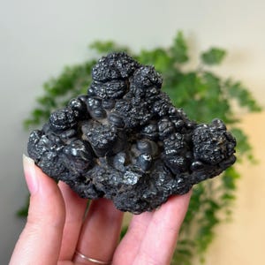 May include: A dark, textured mineral specimen with a rough, bubbly surface. The stone is a deep black color with a slightly reflective sheen. The mineral is held in a hand, with a blurred green plant in the background.