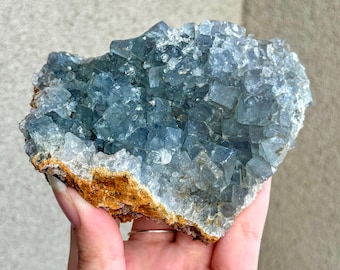 May include: A cluster of translucent blue fluorite crystals with cubic formations. The mineral specimen features a jagged, textured base with earthy brown and tan mineral deposits, contrasting with the sharp, geometric blue crystal structures.