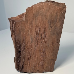 May include: A vertical slab of reddish-brown petrified wood featuring a rough, textured surface with visible grain patterns and deep, vertical grooves. The specimen displays a natural, weathered appearance with earthy tones and crystalline deposits.