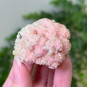 May include: A raw mineral specimen featuring a cluster of crystalline structures in shades of soft pastel pink and creamy white. The surface is textured with small, jagged, light-reflecting facets that create a dense, uneven, and organic appearance.