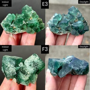 May include: Two clusters of green fluorite crystals labeled E3 and F3, shown under indoor light and daylight. The E3 specimen features multiple sharp, translucent green cubic crystals, while the F3 specimen displays larger, blocky green crystals.