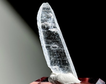 希少なニフォントバイト結晶 - メキシコ、チャルカス産の 2.56g 角柱状