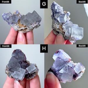 May include: Two clusters of purple fluorite crystals labeled G and H, shown in frontlit and backlit views. The specimens feature cubic crystal formations with translucent purple hues and visible mineral matrix bases, displaying varying light transparency.