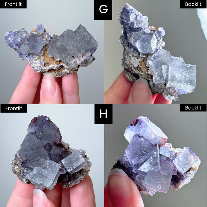 May include: Two clusters of purple fluorite crystals labeled G and H, shown in frontlit and backlit views. The specimens feature cubic crystal formations with translucent purple hues and visible mineral matrix bases, displaying varying light transparency.