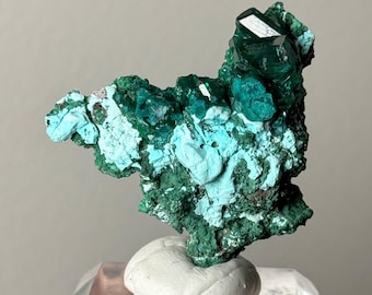 You Pick! Dioptase with Plancheite from Mindouli, Pool Department, DRC