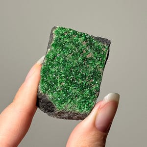 May include: A vibrant green mineral specimen with a rough, dark gray matrix. The surface is covered in a layer of sparkling, emerald-colored crystals. The mineral is held in a hand, showcasing its natural beauty.