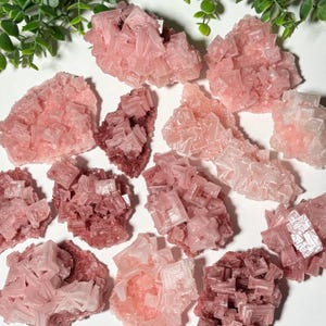 Medium Pink and Lavender Halite Specimens / You Pick! Choose Your Own Halite Crystal
