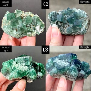 May include: Two clusters of green fluorite crystals labeled K3 and L3, shown under indoor light and daylight. The specimens feature translucent, cubic crystal formations with varying shades of deep green and blue, set on a rocky base.