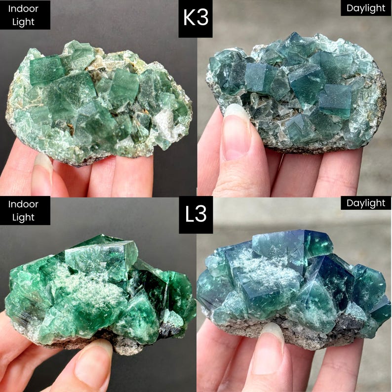 May include: Two clusters of green fluorite crystals labeled K3 and L3, shown under indoor light and daylight. The specimens feature translucent, cubic crystal formations with varying shades of deep green and blue, set on a rocky base.