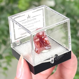 May include: A red vanadinite mineral specimen displayed inside a clear square plastic box with a black base. The label inside reads Vanadinite, Mibladen Mining District, Morocco, Genuine Gem Co. The crystal has a hexagonal, prismatic structure.