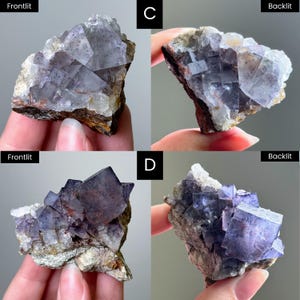 May include: Two clusters of purple and white cubic fluorite crystals labeled C and D. Each specimen is shown in frontlit and backlit views, highlighting the translucent, geometric structure of the mineral formations and their natural matrix base.
