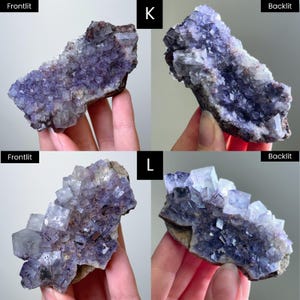 May include: Two clusters of purple fluorite crystals labeled K and L, shown in frontlit and backlit views. The specimens feature translucent, cubic crystal formations with deep violet hues and visible matrix rock at the base of each cluster.