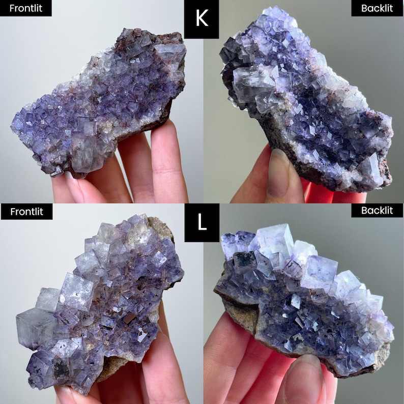 May include: Two clusters of purple fluorite crystals labeled K and L, shown in frontlit and backlit views. The specimens feature translucent, cubic crystal formations with deep violet hues and visible matrix rock at the base of each cluster.