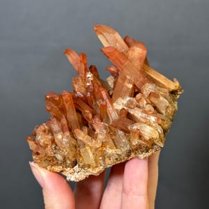 May include: A cluster of orange-red quartz crystals. The crystals are translucent and have sharp, pointed terminations. The base of the cluster is a rough, brown matrix. The crystals are a vibrant, natural formation.