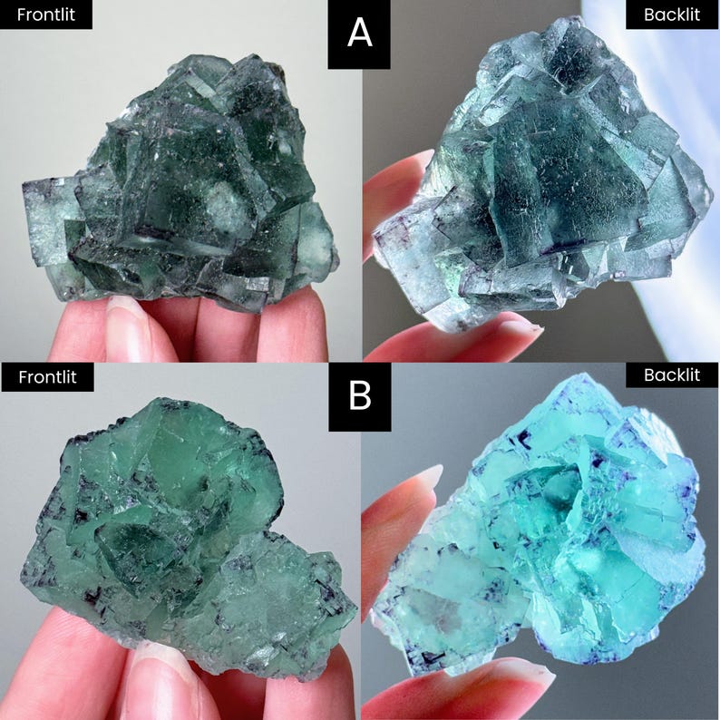 以下が含まれることがあります： 蛍石の結晶の4つの画像。2つの画像は前面から照らされており、濃い緑色の結晶構造を示しています。他の2つの画像はバックライトで、半透明の薄い青と緑の色を明らかにしています。結晶は人の手で持たれています。