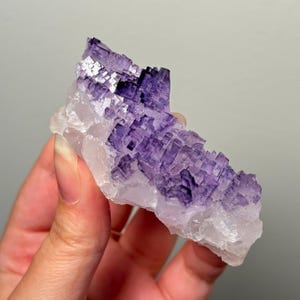 Purple Fluorite from Tule Mine, Melchor Múzquiz Municipality, Coahulia, Mexico / Dark Purple Cubic Cluster Mineral Specimen Natural Crystal