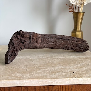May include: A dark brown, weathered piece of driftwood with a rough, textured surface. The driftwood is curved and has a natural, organic shape.