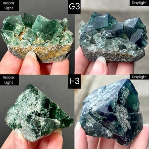 May include: A collection of green fluorite crystal clusters labeled G3 and H3, shown under indoor light and daylight. The specimens feature translucent, geometric cubic formations with deep emerald hues and visible mineral matrix bases.