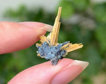 You Pick: Rutilated Hematite Star Specimen from Bahia Brazil Mineral in Floating Case
