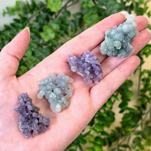 May include: Four clusters of botryoidal chalcedony in shades of purple and grey are held in a hand. The gemstones have a bubbly, rounded texture and are displayed against a backdrop of green foliage.