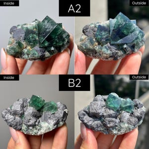 May include: A mineral specimen featuring translucent, deep green cubic fluorite crystals clustered on a dark, textured matrix. The image displays two distinct specimens labeled A2 and B2, each shown from both inside and outside lighting perspectives.
