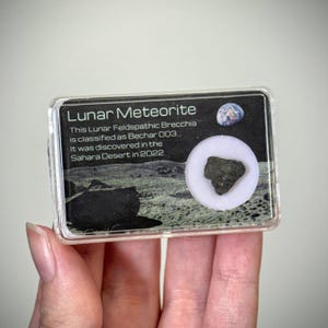 Può includere: Un piccolo frammento di meteorite lunare scuro e irregolare racchiuso in una scatola espositiva rettangolare trasparente. L'etichetta recita: Lunar Meteorite, This Lunar Feldspathic Breccia is classified as Bechar 003. It was discovered in the Sahara Desert in 2022.
