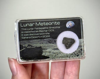 ¡Tú eliges! Mini rebanadas de meteorito lunar Bechar 003, Brecha feldespática, Roca lunar XS