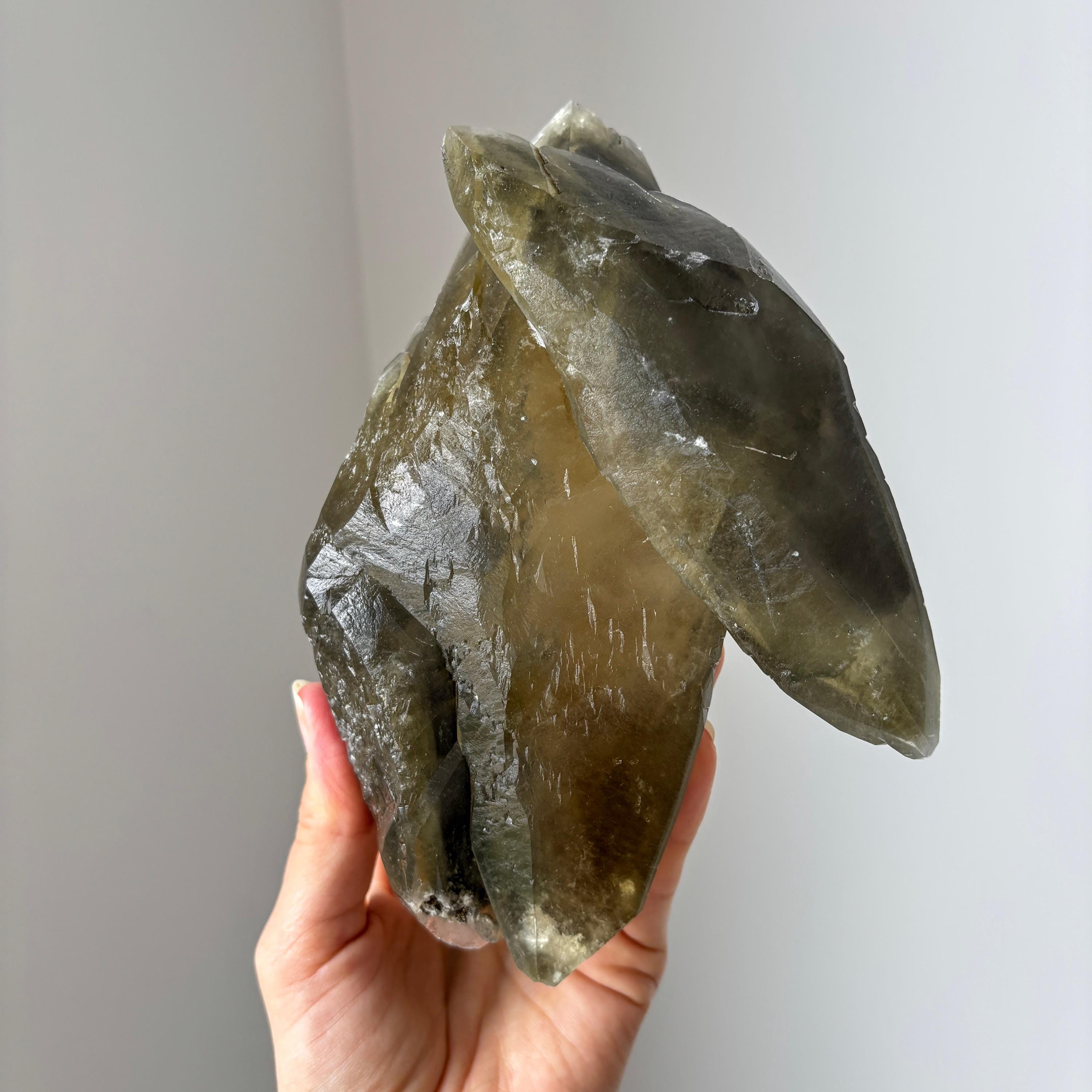 Dragonscale Rocks The Dragon's Head Large Dragonscale Calcite Specimen From Sweetwater ...