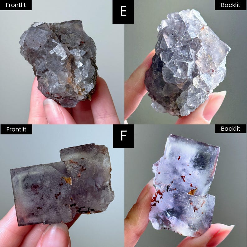 May include: Two clusters of raw fluorite crystals labeled E and F. Cluster E is a dark, multifaceted mineral formation. Cluster F is a rectangular, translucent purple and white specimen with visible internal red inclusions and geometric edges.