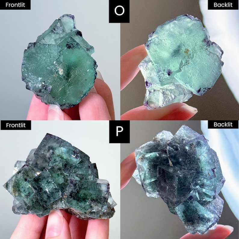 以下が含まれることがあります： 4つの蛍石の結晶の画像。左上の画像は、緑色の蛍石の結晶の前面からの画像です。右上の画像は、緑色の蛍石の結晶のバックライト画像です。左下の画像は、濃い緑色の蛍石の結晶の前面からの画像です。右下の画像は、濃い緑色の蛍石の結晶のバックライト画像です。