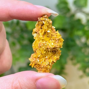 May include: A raw mineral specimen featuring a cluster of vibrant yellow, crystalline structures attached to a textured, earthy brown matrix. The crystal formation displays sharp, angular facets that catch the light, creating a brilliant, reflective surface across the jagged, irregular shape of the stone.