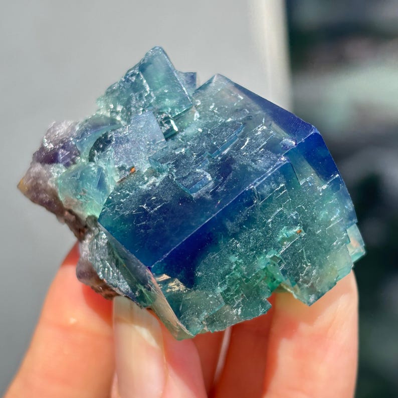 May include: A raw fluorite crystal specimen featuring a cluster of cubic formations. The mineral displays a vibrant gradient of deep royal blue, teal, and translucent seafoam green hues with sharp geometric edges and a naturally faceted, crystalline texture.