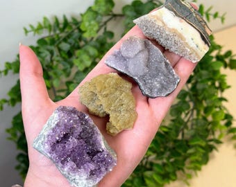 May include: Four distinct raw mineral specimens arranged in a line. The collection includes a deep purple amethyst cluster, a textured golden-yellow crystal, a dark grey druzy piece, and a banded white and brown stone with a crystalline edge.