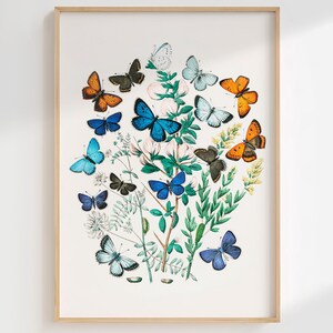 Colorful Butterfly print Boho butterfly wall art Vintage Aesthetic decor French Country farmhouse decor Cute Girls nursery decor PRINTABLE
