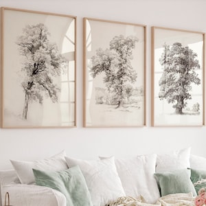 Vintage Tree sketch wall art Set of 3 Nature prints Neutral Triptych wall art Oak tree drawing Tree painting French country decor PRINTABLE