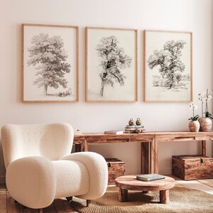 Tree sketch wall art Vintage Nature prints Set of 3 Triptych wall art Neutral landscape Antique Tree drawings Rustic Cabin decor PRINTABLE