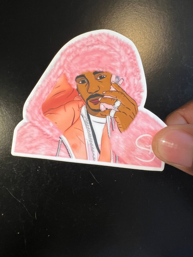 Iconic Pink Fur Camron From Dipset Killa Cam CUSTOM Vinyl Water