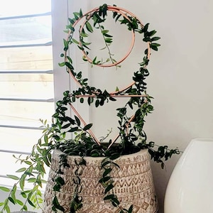 May include: A green plant growing up a copper geometric plant stand with two circles and a triangle. The plant is in a white ceramic pot with a geometric pattern.