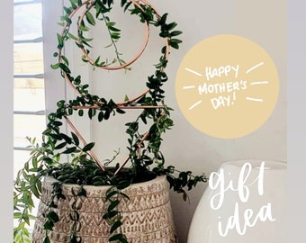 Plant Stakes/Trellis to Support your Indoor Plants - Mother's Day Sale & FREE Postage!