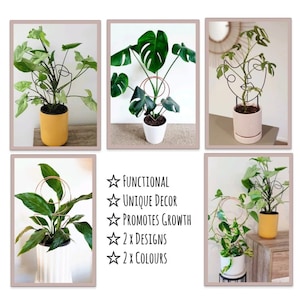 Puede incluir: Un conjunto de dos soportes para plantas, uno con un dise&ntilde;o circular y el otro con un dise&ntilde;o de cara. Los soportes son de metal y est&aacute;n disponibles en dos colores. Los soportes se muestran con varias plantas, incluyendo una monstera, una lirio de la paz y un pothos.